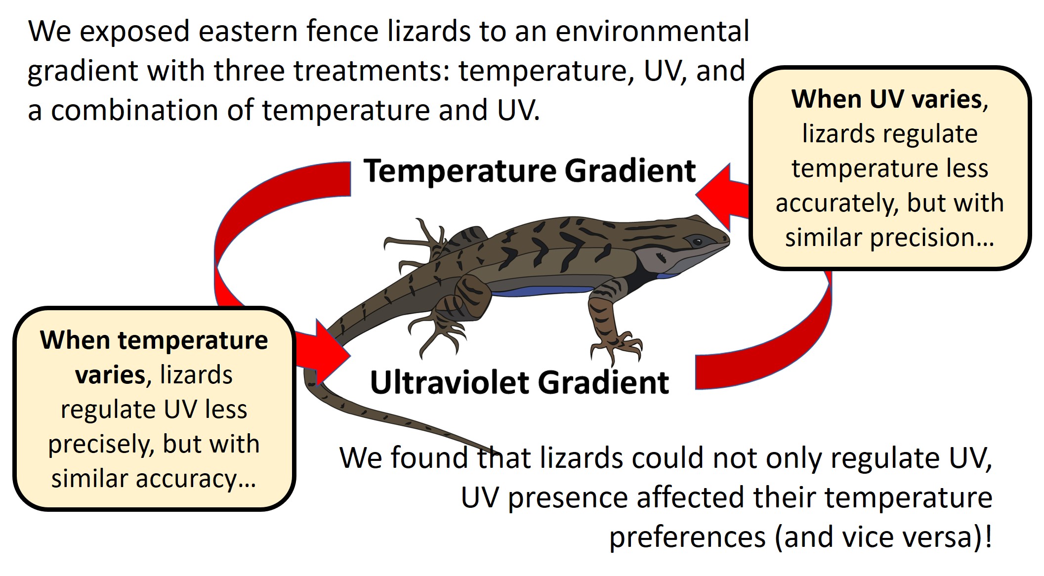 UV preference study